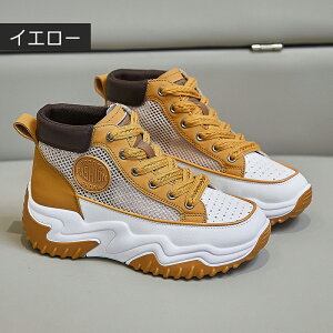 nCJbg Xj[J[ fB[X jOV[Y JWAV[Y y EH[LOV[Y ʋC ~ hL X|[cV[Y W jOV[Y ʊw ʋ 