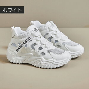 Xj[J[ Xj[J[T_ fB[X X|[cT_ jOV[Y JWAV[Y y EH[LOV[Y ʋC ~ hL X|[cV[Y W ʊw 