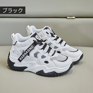 Xj[J[ Xj[J[T_ fB[X X|[cT_ jOV[Y JWAV[Y y EH[LOV[Y ʋC ~ hL X|[cV[Y W ʊw 