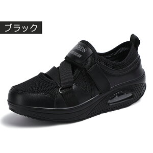 GA[NbVV[Y Xb| fB[X EH[LOV[Y i[XV[Y X|[cT_ jOV[Y JWAV[Y y ʋC bV ~ ʊw 