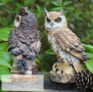 tNE 悯 悯 ΍ {  hhb΍ h 2_Zbg 悯ObY u I[ig  fBXvC  N K[fjO  K[f x_ O 