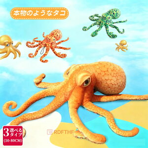 ʂ ^R { A nEB LbY q nEB HALLOWEEN Cm NX}X a v[g  傫TCY ^ J[pi ԗpi h CeA Aj} 