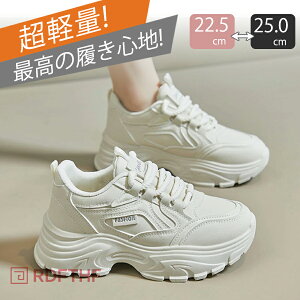 Xj[J[ V[Y Y fB[X jOXj[J[ LEH[LOV[Y ɂ d ₷ y Cq[ ɂ [ \[ j am GA\[ X