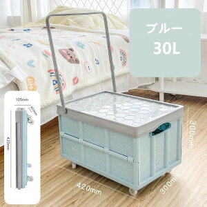 アウトドア 大容量 収納ボックス 新型フタ付き キャンプ 収納ケース プラスチック コンテナ ボックス おしゃれ キャンプ用品 車載 リス アウトドア用品 折畳み 収納ケース 大容量 押入れ収