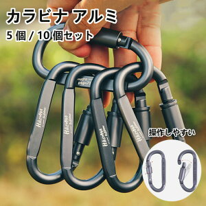 カラビナ アウトドア アルミ キャンプ クライミング Dリング ハンモック バックパックフック グッズ レスキュー ヨガ バイク ソロキャンプ ファミリーキャンプ ベランピング スクリューロッ