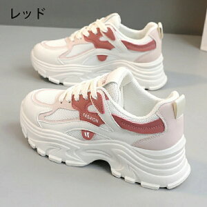 Xj[J[ fB[X EH[LOV[Y _CGbg Xj[J[ bVXj[J[ JWA ꂢ ʋC y ɂ _CGbgXj[J[ JWA ^C i[XV