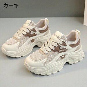 Xj[J[ fB[X EH[LOV[Y _CGbg Xj[J[ bVXj[J[ JWA ꂢ ʋC y ɂ _CGbgXj[J[ JWA ^C i[XV