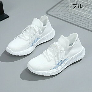 Xj[J[ fB[X EH[LOV[Y _CGbg Xj[J[ bVXj[J[ JWA ꂢ ʋC y ɂ _CGbgXj[J[ JWA ^C i[XV