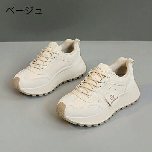 Xj[J[ fB[X EH[LOV[Y _CGbg Xj[J[ JWA ꂢ ʋC y ɂ _CGbgXj[J[ JWA ^C i[XV[Y EH[LO 