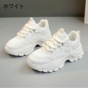 Xj[J[ fB[X EH[LOV[Y _CGbg Xj[J[ bVXj[J[ JWA ꂢ ʋC y ɂ _CGbgXj[J[ JWA ^C i[XV