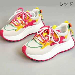 Xj[J[ fB[X EH[LOV[Y _CGbg Xj[J[ JWA ꂢ ʋC y ɂ _CGbgXj[J[ JWA ^C i[XV[Y EH[LO 