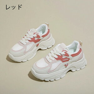  Xj[J[ fB[X _bhXj[J[ EH[LOV[Y bVXj[J[ JW _CGbg Xj[J[ JWA ꂢ ʋC y ɂ JWA ^C i[X