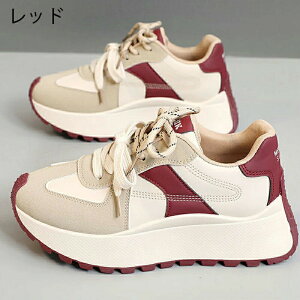 Xj[J[ fB[X EH[LOV[Y _CGbg Xj[J[ JWA ꂢ ʋC y ɂ _CGbgXj[J[ JWA ^C i[XV[Y EH[LO 