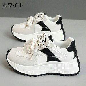 Xj[J[ fB[X EH[LOV[Y _CGbg Xj[J[ JWA ꂢ ʋC y ɂ _CGbgXj[J[ JWA ^C i[XV[Y EH[LO 