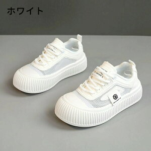 Xj[J[ fB[X EH[LOV[Y _CGbg Xj[J[ bVXj[J[ JWA ꂢ ʋC y ɂ _CGbgXj[J[ JWA ^C i[XV