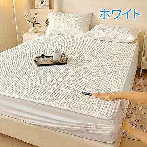 {bNXV[c pbȟ^ VO ~pbh xbhpbh }bgXJo[ Z~_u ېOK zEʋC I[V[Y^Cv YȂ RۖhL V[c ̌^ ې Q