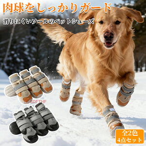  C ybgV[Y ^ hbOV[Y bV h ی ~ t[O U ی ₯ǖh~ 4Zbg