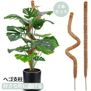 ヘゴ支柱 2本セット 園芸支柱 好きな形に曲げる 誘引 支柱 フラワースタンド 花支え 観葉植物モンステラ 支柱 ヘゴ支柱つる性植物 ココスティック支柱 植物サポート 維持水分 養分維持 ココ