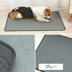 􂦂 ybgV[c z ybg}bg }bg L  pbh gCV[g h ~ Rh~  ~ GR gC ybgp p  V ^ ^