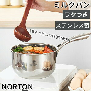 NORTON ~Np Wt XeX I[XeX t^t KX Ў    킢  WL Ў  X` ϕ X[v H