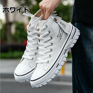 V[NbgV[Y  gAbv7cm up7cm wȂ Y Xj[J[ V[NbgV[Y Cq[ K JWAV[Y