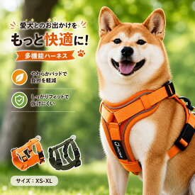 小型犬 ハーネス ハーネス リードセット 犬用ハーネス ふわっと軽量・リード付きセット 通気メッシュ ハーネス 通気メッシュ ハーネス 抜けない お散歩デビューに最適 簡単装着