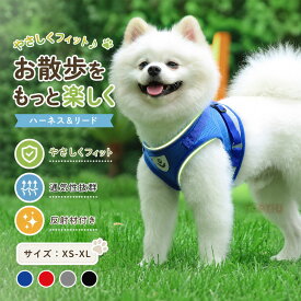 小型犬 ハーネス ハーネス リードセット 猫・小型犬用ハーネス ふわっと軽量・リード付きセット 通気メッシュ ハーネス 通気メッシュ 夜間反射素材 猫 ハーネス 抜けない 猫ハーネス 4カラー展開 XS～XL お散歩デビューに最適 簡単装着