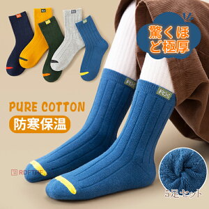 5Zbg q C ѕz \bNX ~  pC \bNX LbY RR C  h ~ ӂӂ [\bNX ۂۂ Ɍۉ g  -15h \bN