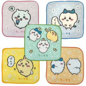 ~j^I 5Zbg 15cm LN^[ ct ۈ牀 qǂ nJ` 5g fBYj[ vZX 킢 w wZ v[g ̎q j̎q LbY 100% Rbg Ai fBY