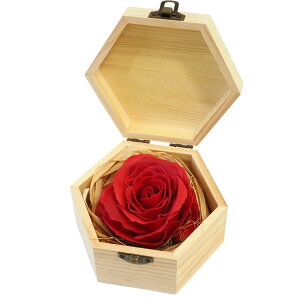 zΉ \[vt[{bNX AW Pi or ANZT[ Zbg͂Ȃ  t[Mtg o ̓  ̓Mtg ̓v[g  o  v[g  