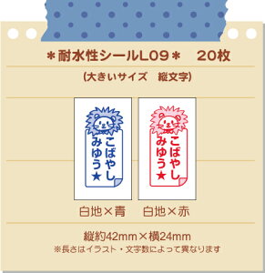 ́IɂIOV[ hV[iϐE~l[gj傫LTCY-09@ci20j