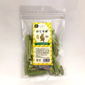 かじり木 パパイヤの葉の茎