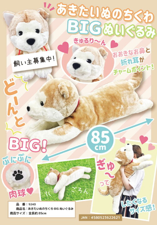 楽天市場 ビッグぬいぐるみ あきたいぬのちくわ くつしたねこのこんぶ Big クッション 犬 イヌ いぬ 猫 ネコ ねこ 癒し 抱き枕 だきまくら Toy Zakka Mimiy ミミー