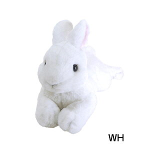 Ђ ʂ S ETM e   A ObY ETMObY G ETMG  pɂ Mtg v[g