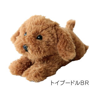 ЂSS ʂ     ACkObY ʃObY CkG ʎG q   pɂ Mtg v[g