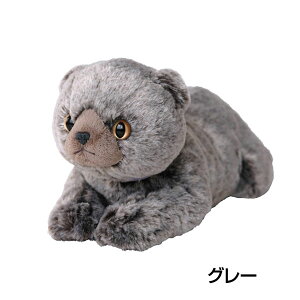 Ђ˂ ʂ ɂ XReBbVtH[h zCg O[ L   A lRObY ˂ObY lRG ˂G  pɂ Mtg v[g