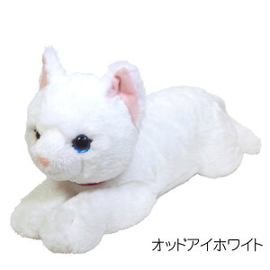 �Ђ��˂� �ʂ������M �Ђ��l�R �˂� �L �������� ���� ���A�� �l�R�O�b�Y �˂��O�b�Y �l�R�G�� �˂��G�� ���� ���p�ɂ� �������� �M�t�g �v���[���g