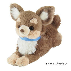 Ђ STCY ʂ ЂR     A ObY ʃObY CkG ʎG q  pɂ Mtg v[g