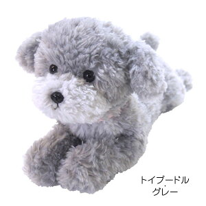 Ђ STCY ʂ ЂR     A ObY ʃObY CkG ʎG q  pɂ Mtg v[g