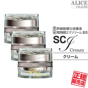 yK̔Xz SCJ Cream - N[ i30gjm  { qgbRזE|{t qgbԎזEGN\\[ qgזE זE ێN[ RX i`t[ X