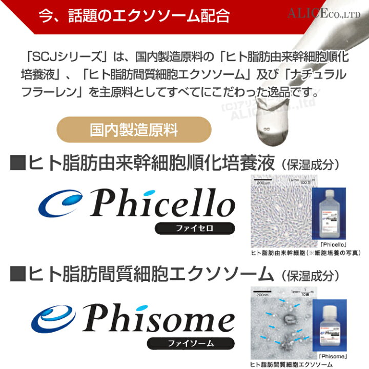楽天市場】【正規販売店】 SCJ 4種セット ローション （115mL）+ 