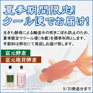 楽天市場 正規販売店 夏季限定 安心のクール便配送 ご希望の方にオマケ付 富元酵素 1000ml エンチーム 酵素飲料 酵素ドリンク 酵素科学 酵素化学 研究所 富源 ふげん 果汁酵素 活性酵素 活性酵母 果汁酵素 富元 酵素 無添加 送料無料 アリス