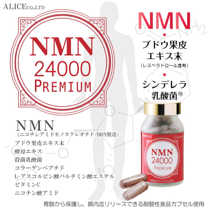 楽天市場】【正規販売店】 NMN24000 PREMIUM （120粒）［ エンチーム 