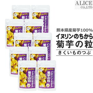 Ck̂ e̗ i180jm LNC  Tvg Go EGC ʂ 񂮂 nH@ Y 1 ؕsghT|[gIF{Y_eg