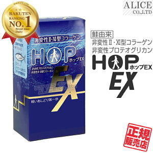 yK̔Xz zbvEX i60jm @ ϐveIOJ ϐII^R[Q ϐXI^R[Q  XN n[vV[IC EPA HOP EX HOP EX vX SCP