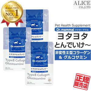 yK̔Xz ^^Ƃł`i20j×3 { VivX ybgp {R ϐ2^R[Q ϐ2^R[Q ϐII^R[Q ^^Ƃł[ Tv