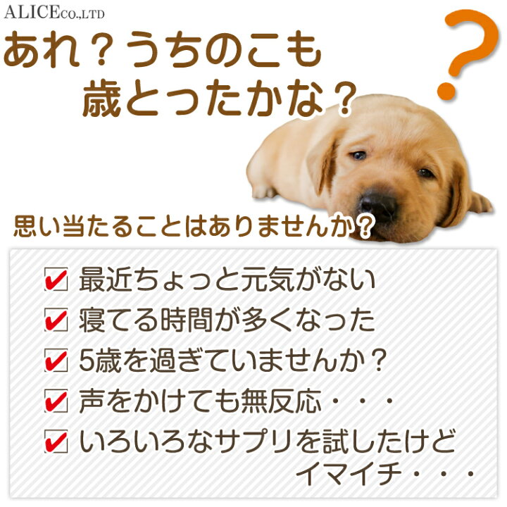 楽天市場 正規販売店 ドロドロとんでいけ 粒入 シナプス ペット用ｌｒ末３ミミズ食品 ドロドロとんでいけー Lr末iii Lr末3 ルンブルクスルベルス 輝龍 犬 猫 動物用 赤ミミズ ミミズ乾燥粉末 配合 サプリメント どろどろ 飛んでいけ メール便送料