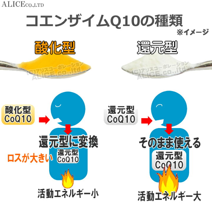 楽天市場】＜スーパーSALE特価＞【販売元直販】還元型コエンザイムQ10  