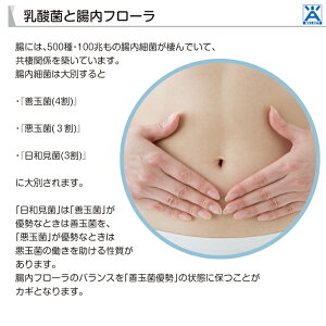 ビフィズスA’s(エース)15包入{乳酸菌ビフィズス菌共棲培養エキスPS-B1ビフィズス菌BR-108,B-3EX有胞子性乳酸菌ラクリス植物性乳酸菌K-1,K-2乳酸菌EC-12FK-23オリゴ糖植物発酵エキス}【メール便送料無料】