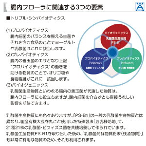 ビフィズスA’s(エース)15包入{乳酸菌ビフィズス菌共棲培養エキスPS-B1ビフィズス菌BR-108,B-3EX有胞子性乳酸菌ラクリス植物性乳酸菌K-1,K-2乳酸菌EC-12FK-23オリゴ糖植物発酵エキス}【メール便送料無料】